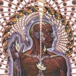 Cover: Tool - Lateralus