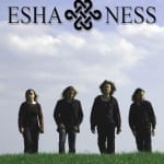 Cover: Esha Ness - Point Of No Return