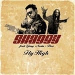 Cover: Shaggy - Fly High