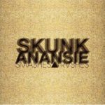 Cover: Skunk Anansie - Smashes And Trashes