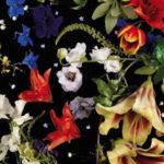 Cover: Hegemund - Nuit Blanche